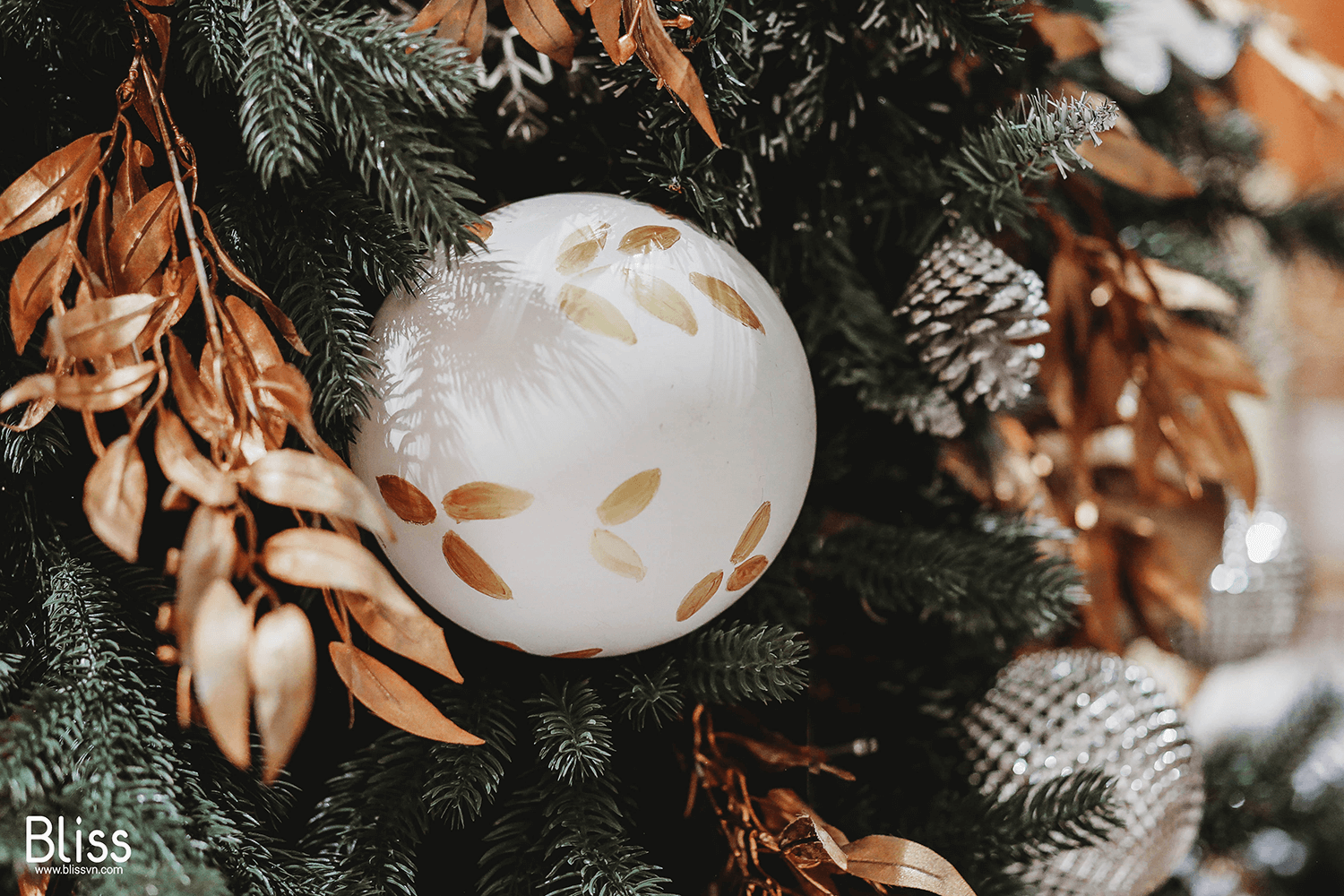 Không gian Giáng sinh tràn ngập trong sắc vàng ánh kim của Champagne, cùng những trang trí lung linh. Hãy thưởng thức hình ảnh Trang trí Giáng sinh này để cảm nhận được không khí tuyệt vời của đêm Noel.