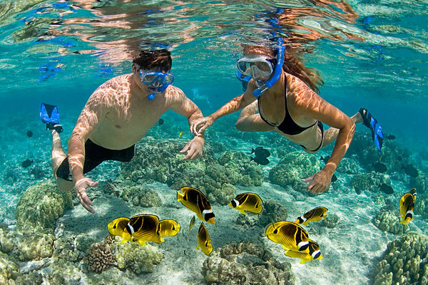 diving and snorkeling phu quoc