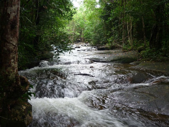 suoi tranh phu quoc