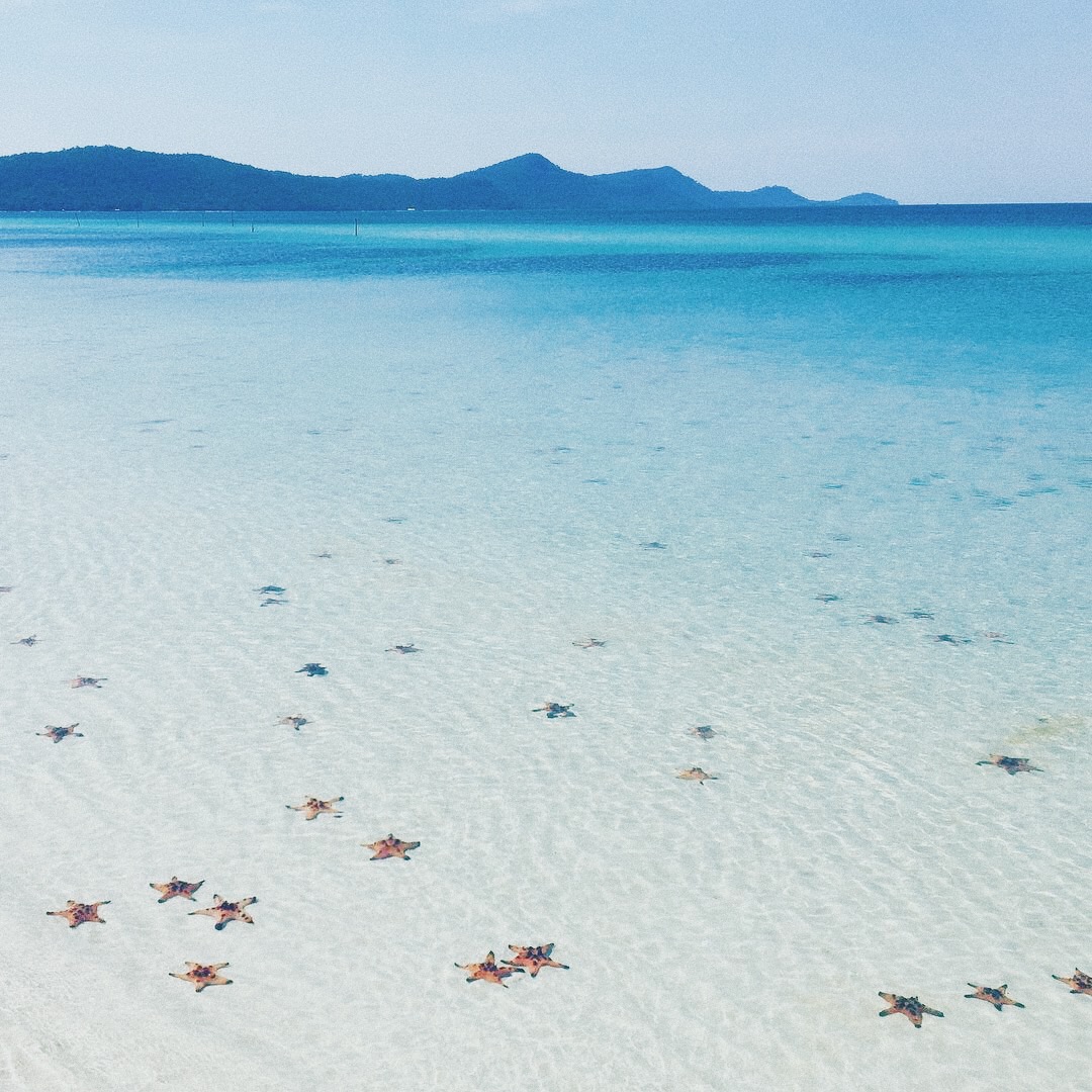 beach wedding in Phu Quoc