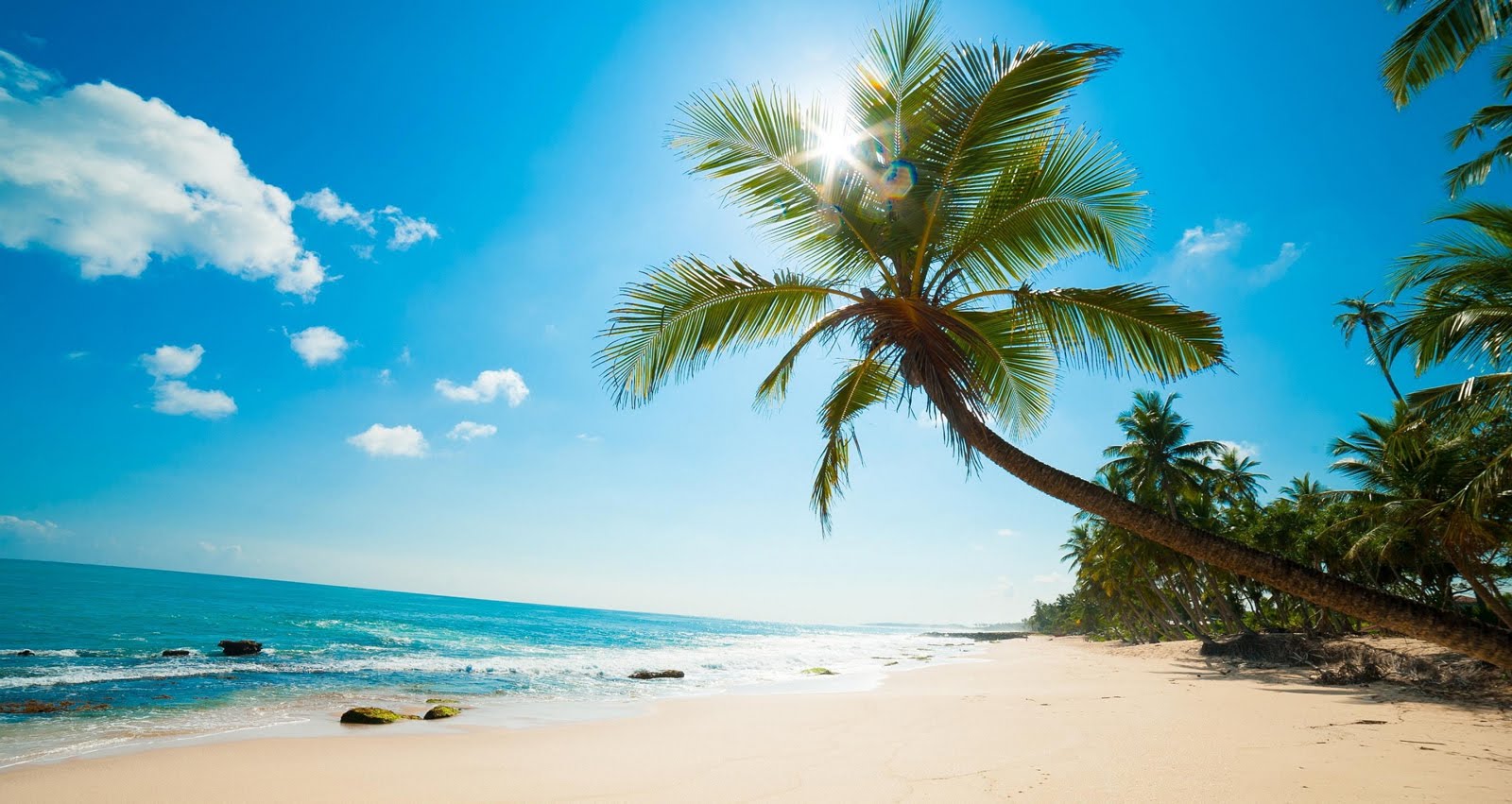 Vietnam beach wedding decoration