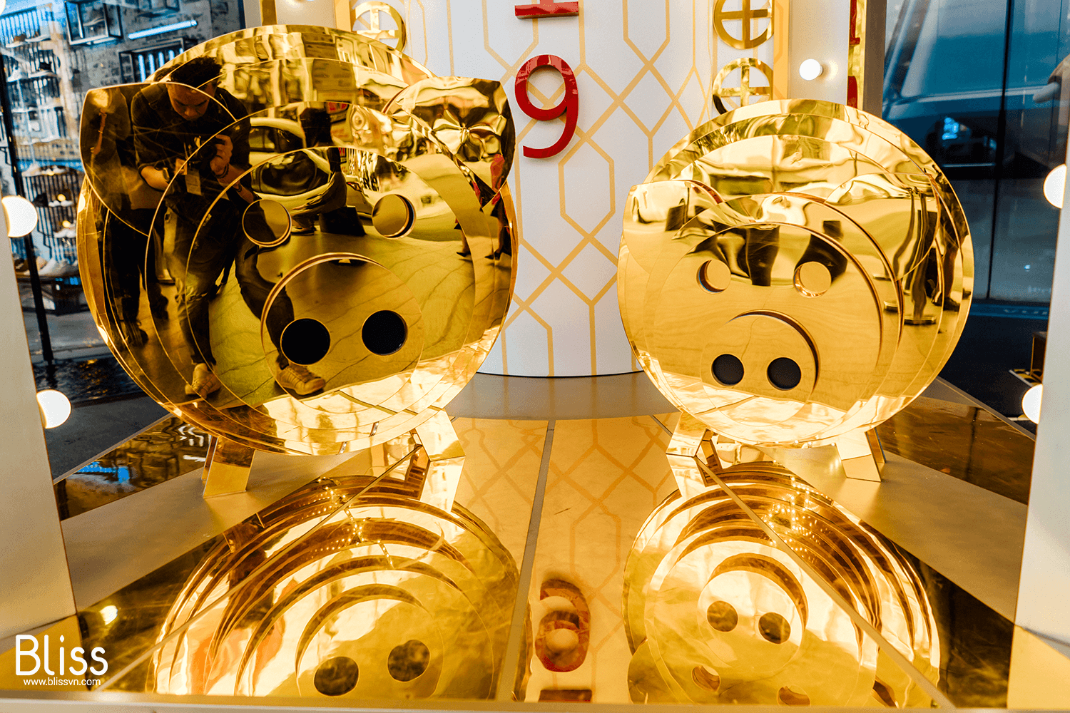 golden pig lunar new year decoration bliss vietnam